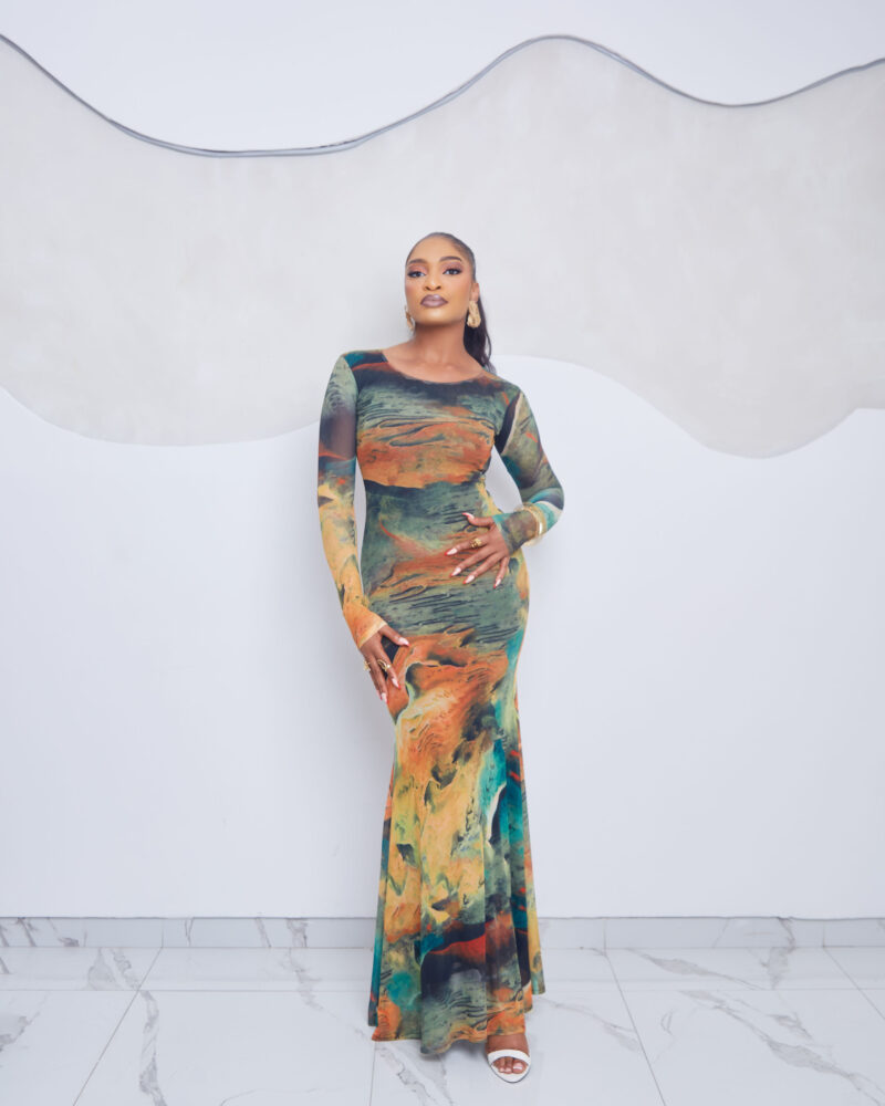 Terra Mesh Maxi Dress with Sleeve